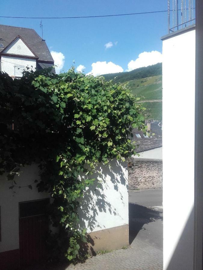 Ferienwohnung-Hallebach Zell an der Mosel Kültér fotó
